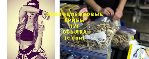 эйфоретик Алзамай