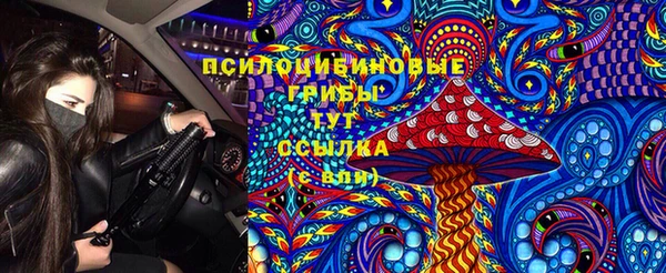 эйфоретик Алзамай