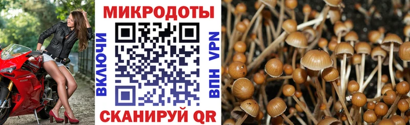 Галлюциногенные грибы мухоморы  наркотики  Беломорск 